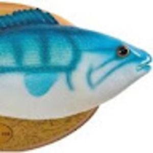 Meet your Posher, Erik